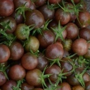 Tomate Black Cherry