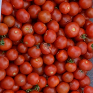 Tomate Zuckertraube