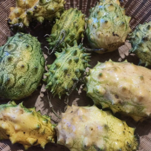 Kiwano du Kenya