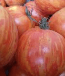 Tomate Red Zebra